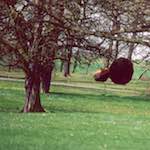 image: Image from the photoset &lsquo;yorkshire (viii)&rsquo;.