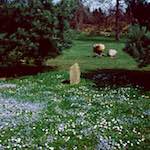 image: Image from the photoset &lsquo;yorkshire (viii)&rsquo;.