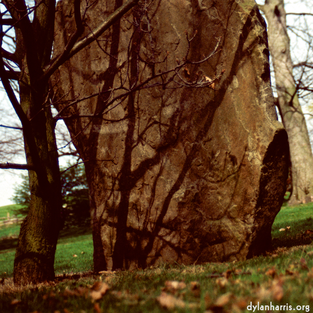 image: This is &lsquo;yorkshire (ix) 2&rsquo;.