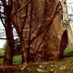 image: Image from the photoset &lsquo;yorkshire (ix)&rsquo;.