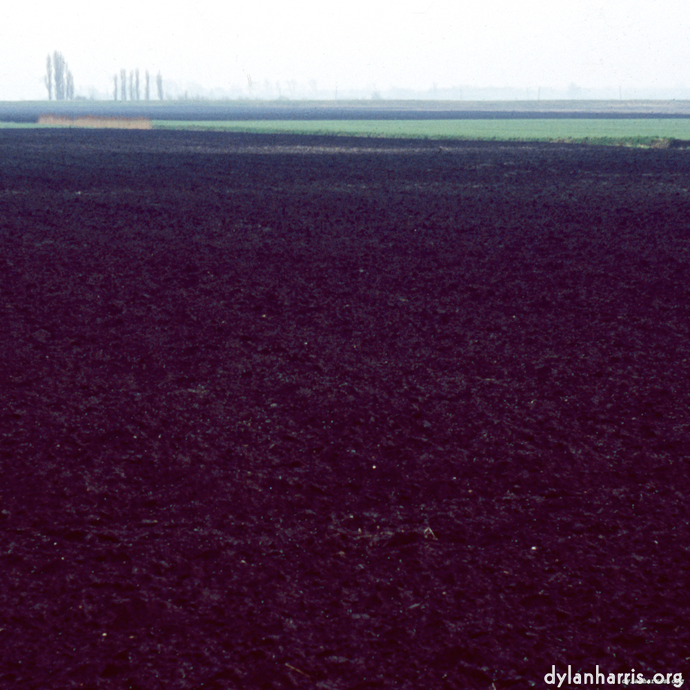 image: This is &lsquo;fen (x) 1&rsquo;.