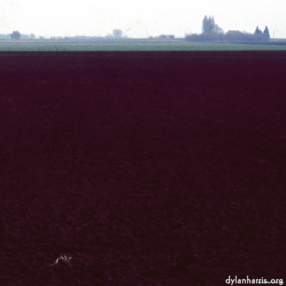 image: This is &lsquo;fen (x) 3&rsquo;.