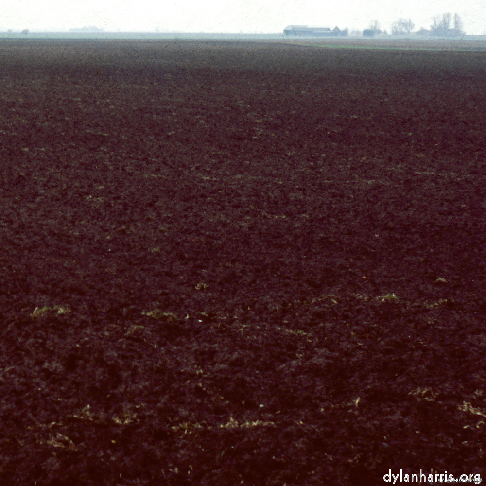 image: This is &lsquo;fen (x) 9&rsquo;.