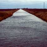 image: Image from the photoset &lsquo;fen (x) &rsquo;.