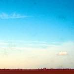 image: Image from the photoset &lsquo;fen (x) &rsquo;.