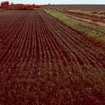 image: Image from the photoset &lsquo;fen (x) &rsquo;.