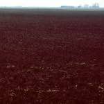image: Image from the photoset &lsquo;fen (x) &rsquo;.