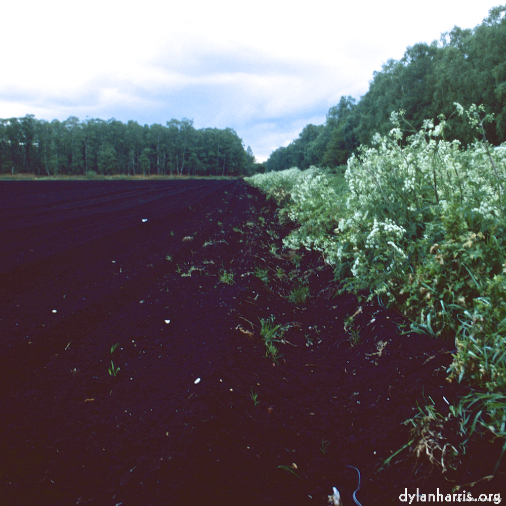 image: This is &lsquo;fen (viii) 1&rsquo;.