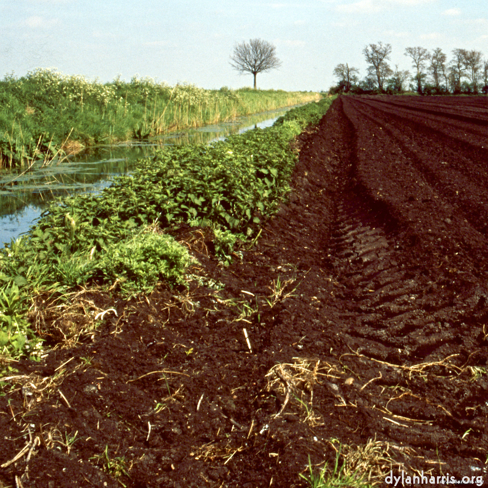 image: This is &lsquo;fen (viii) 4&rsquo;.