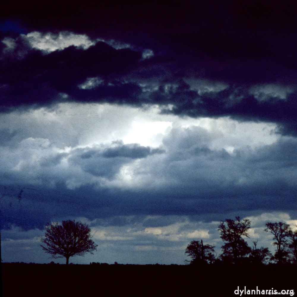 image: This is &lsquo;fen (ix) 1&rsquo;.