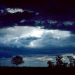 image: Image from the photoset &lsquo;fen (ix)&rsquo;.