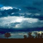 image: Image from the photoset &lsquo;fen (ix)&rsquo;.