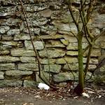 image: Image from the photoset &lsquo;st. neots (i)&rsquo;.