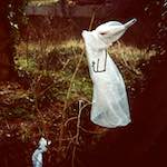 image: Image from the photoset &lsquo;st. neots (i)&rsquo;.