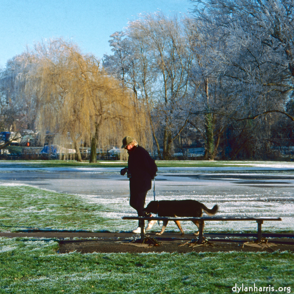 Image 'st. neots park (iv) 5'.