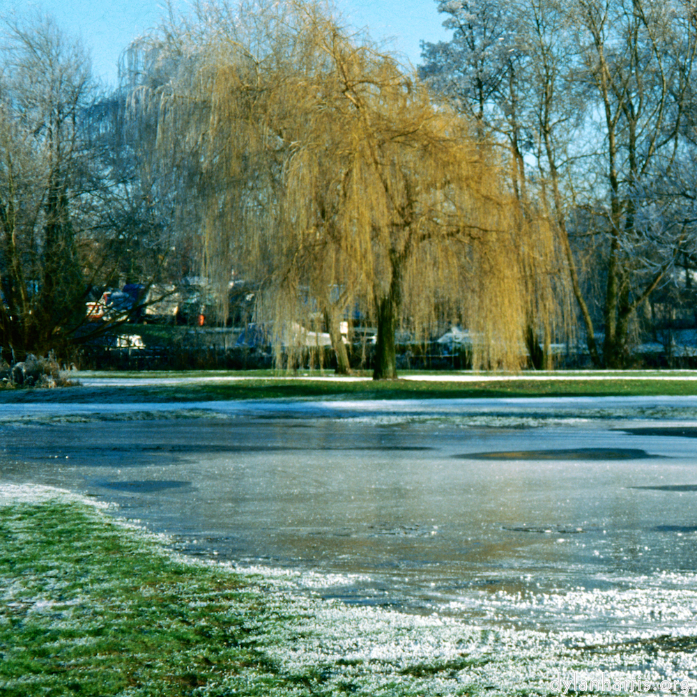 Image 'st. neots park (iv) 7'.