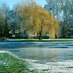Seventh image from the photoset 'st. neots park (iv)'.