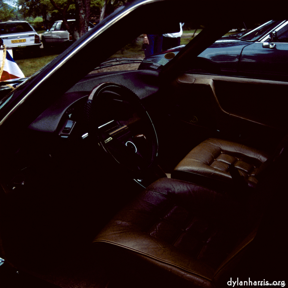 image: This is &lsquo;citro&euml;n (xx) 3&rsquo;.