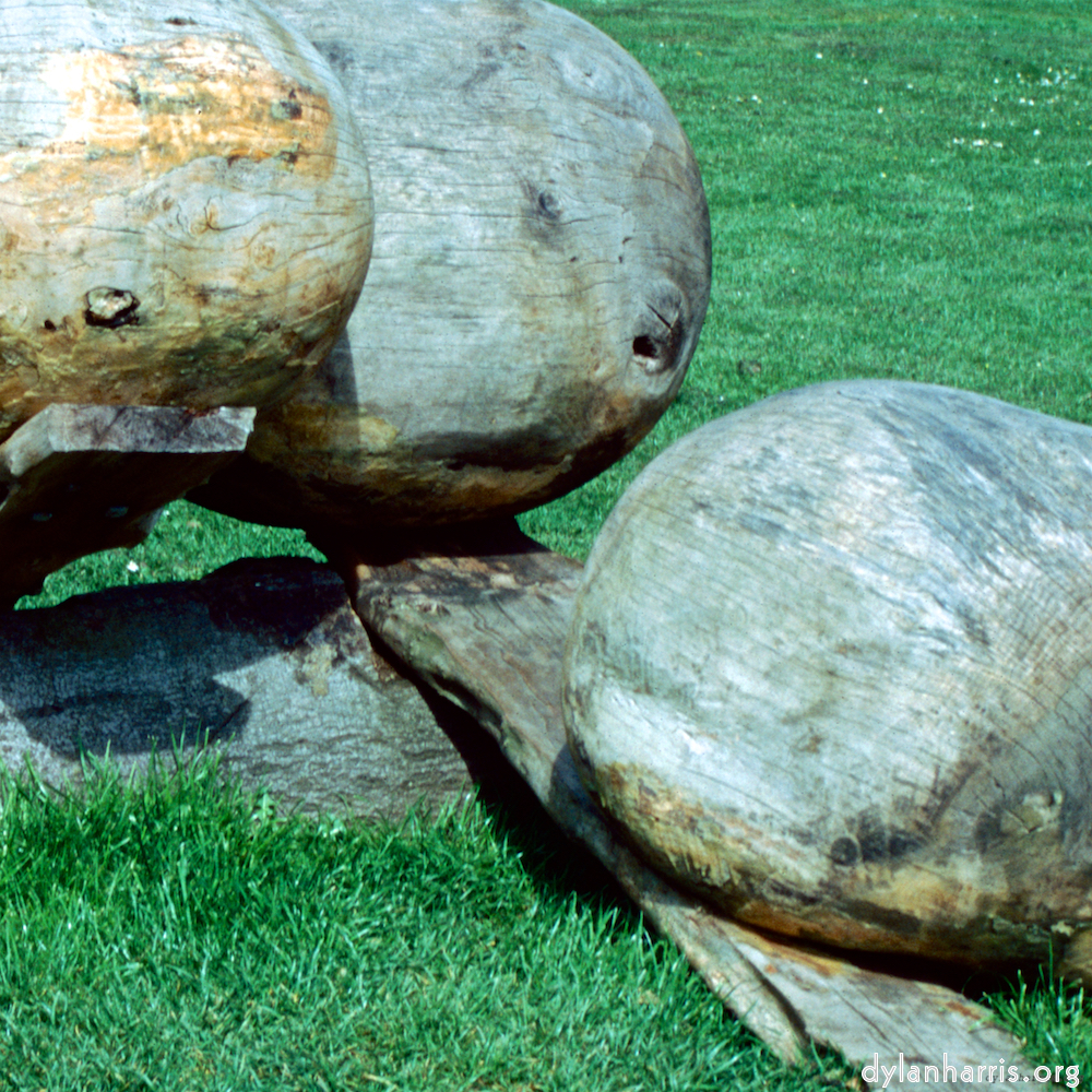 image: This is &lsquo;yorkshire (x) 3&rsquo;.