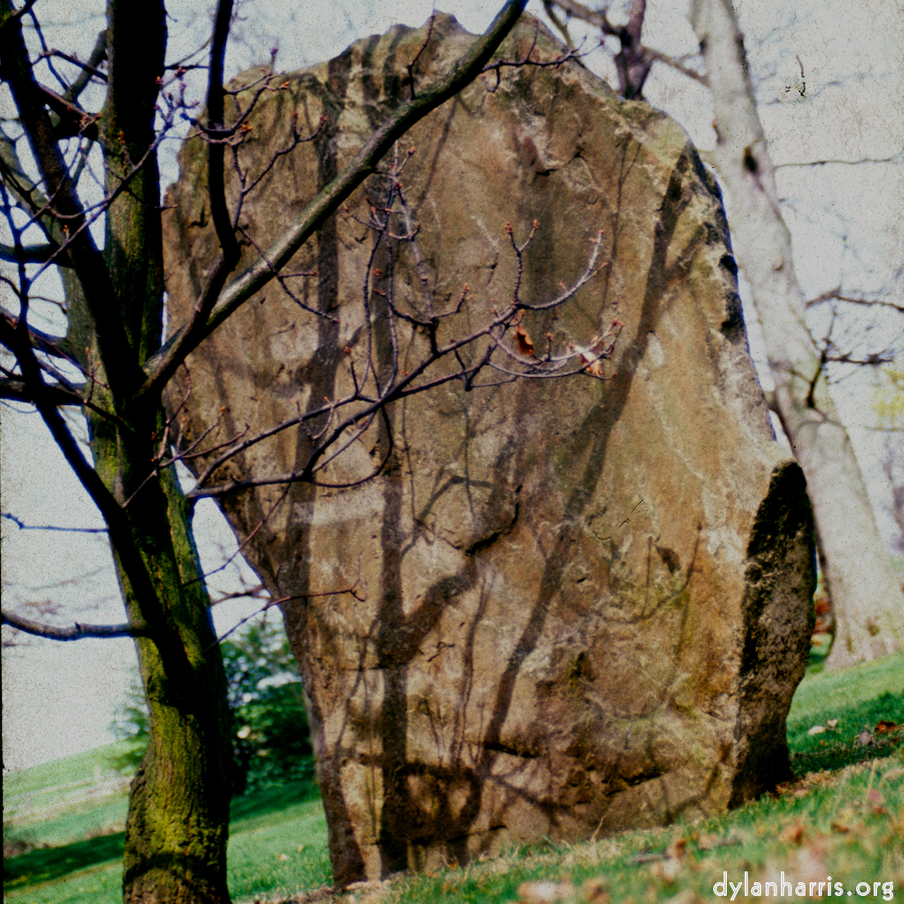 image: This is &lsquo;yorkshire (x) 6&rsquo;.
