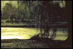 image: Image from the photoset &lsquo;st. neots (i)&rsquo;.