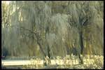 image: Image from the photoset &lsquo;st. neots (i)&rsquo;.