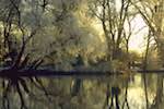 image: Image from the photoset &lsquo;st. neots (ii)&rsquo;.
