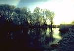 image: Image from the photoset &lsquo;st. neots (ii)&rsquo;.