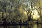 image: Image from the photoset &lsquo;st. neots (ii)&rsquo;.