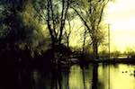 image: Image from the photoset &lsquo;st. neots (ii)&rsquo;.