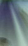 image: Image from the photoset &lsquo;texture (i)&rsquo;.