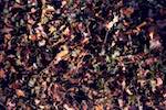 image: Image from the photoset &lsquo;texture (ii)&rsquo;.
