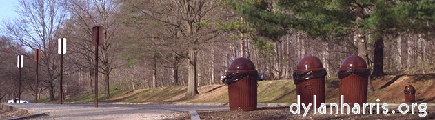 image: This is &lsquo;virginia 1&rsquo;.
