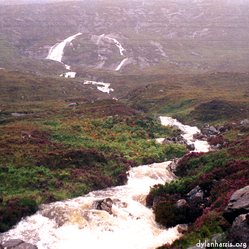 image: This is &lsquo;highlands (x) 1&rsquo;.
