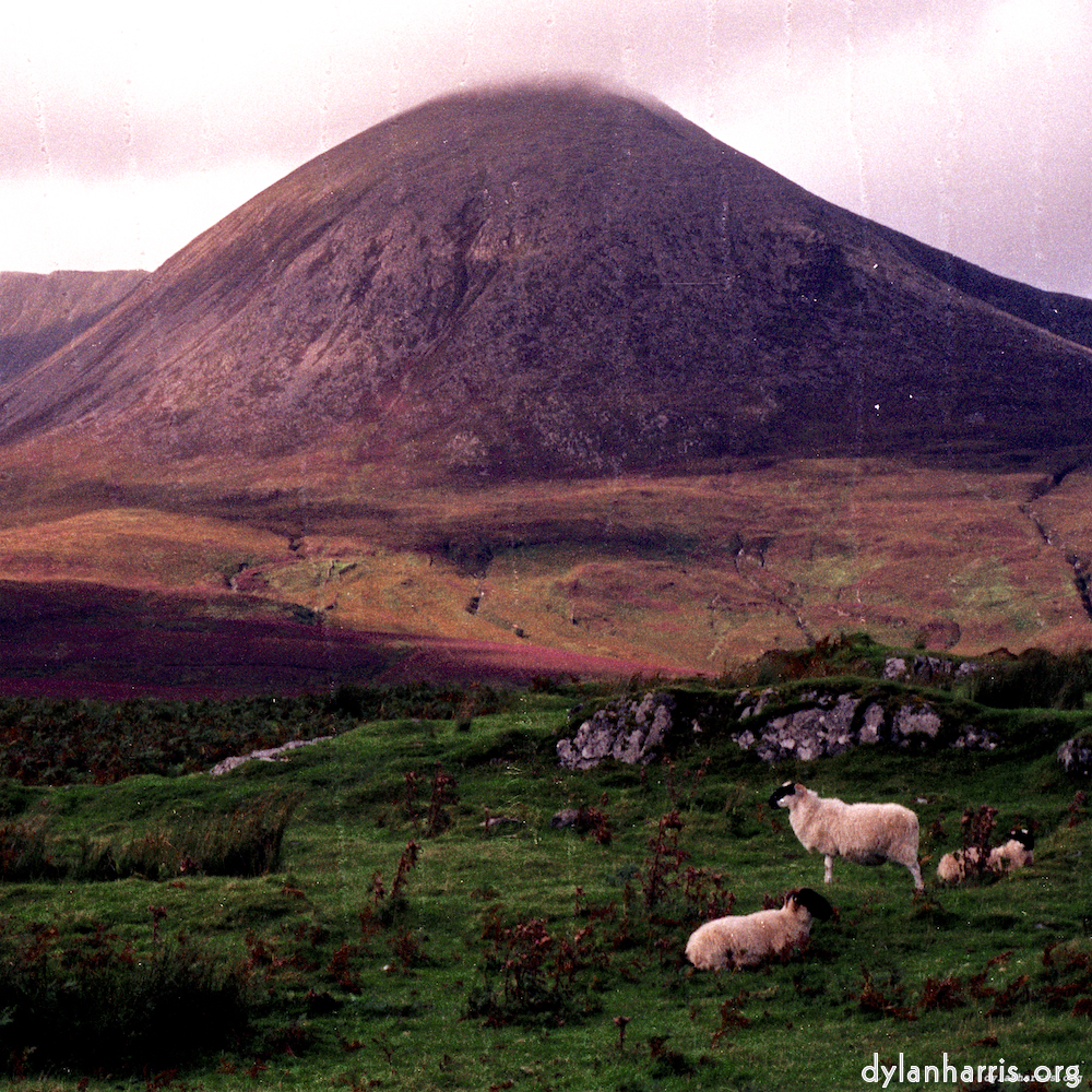image: This is &lsquo;highlands (x) 8&rsquo;.