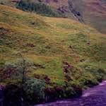 image: Image from the photoset &lsquo;highlands (x)&rsquo;.