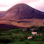 image: Image from the photoset &lsquo;highlands (x)&rsquo;.