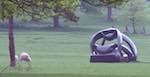 image: Image from the photoset &lsquo;yorkshire sculpture park (i)&rsquo;.