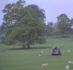 image: Image from the photoset &lsquo;yorkshire sculpture park (i)&rsquo;.