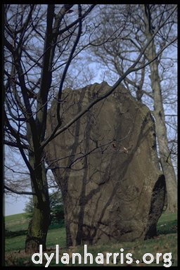 image: This is &lsquo;yorkshire sculpture park (iv) 6&rsquo;.
