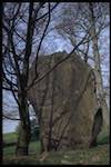 image: Image from the photoset &lsquo;yorkshire sculpture park (iv)&rsquo;.