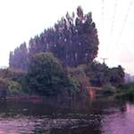 image: Image from the photoset &lsquo;untitled (viii)&rsquo;.