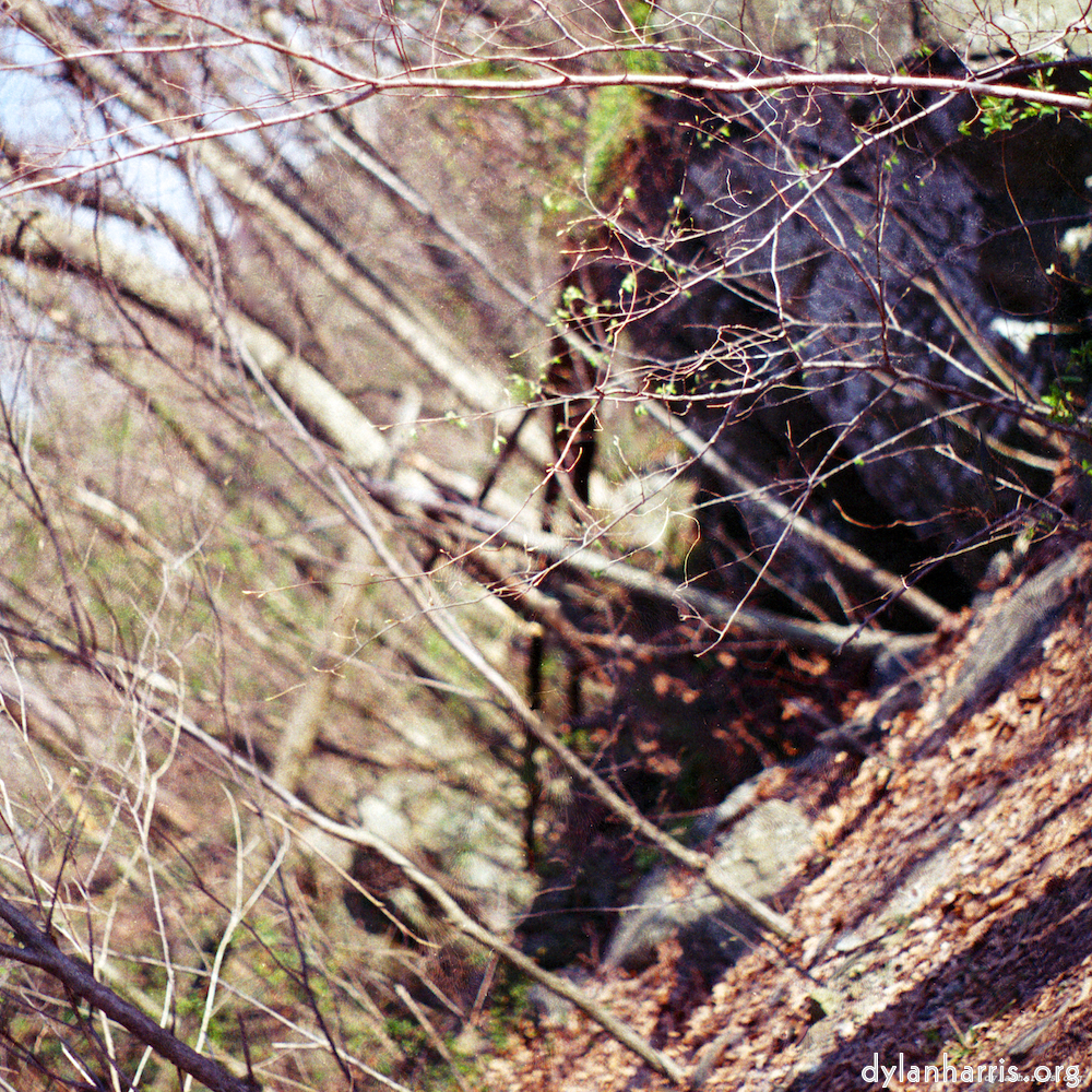 image: This is &lsquo;wood (vii) 1&rsquo;.