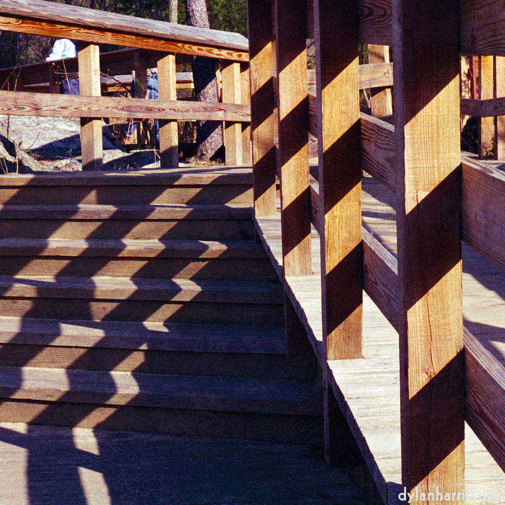image: This is &lsquo;wood (vii) 2&rsquo;.