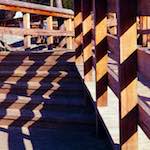 image: Image from the photoset &lsquo;wood (vii)&rsquo;.
