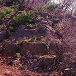 image: Image from the photoset &lsquo;wood (vii)&rsquo;.