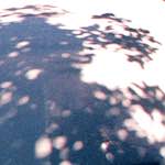 image: Image from the photoset &lsquo;citro&euml;n (i)&rsquo;.