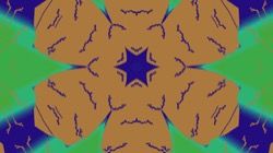 image: image from circular 1