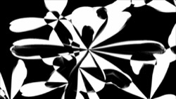 image: image from attrt