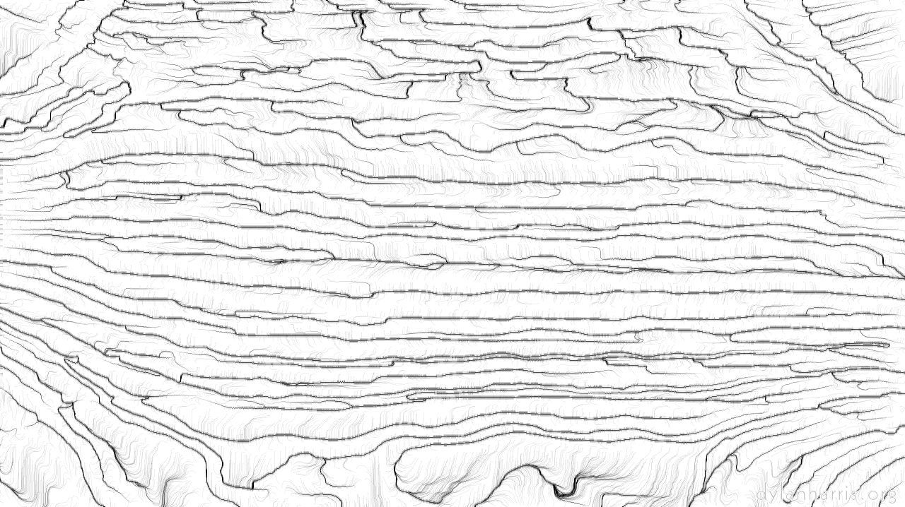 image: bw abstraction :: roots